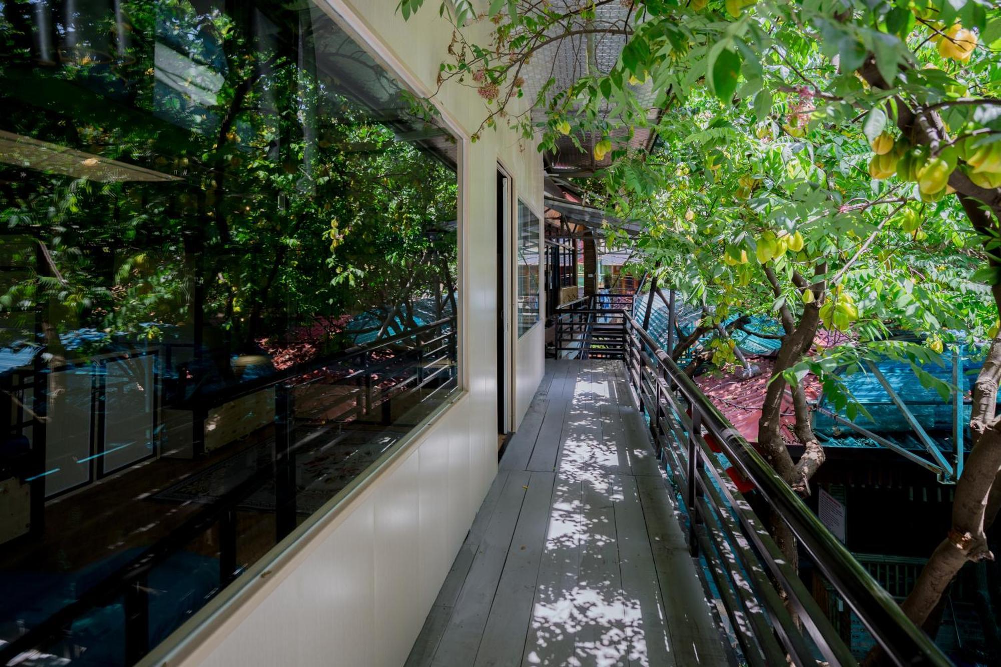 City Garden Hostel Ніньбінь Екстер'єр фото